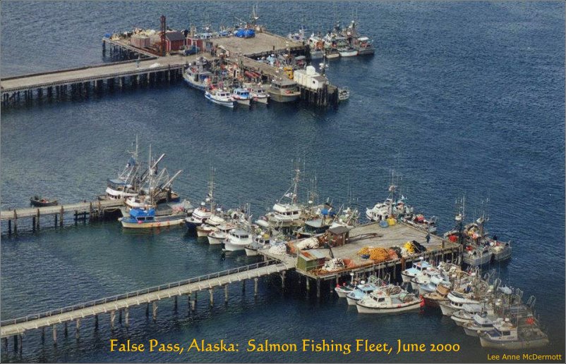 False Pass, Alaska: Salmon Fishing Fleet, June 2000