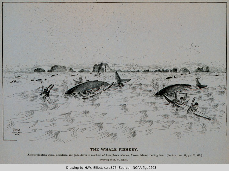 Aleuts Hunting Humpback Whales, Akun Pass, Alaska, ca. 1876