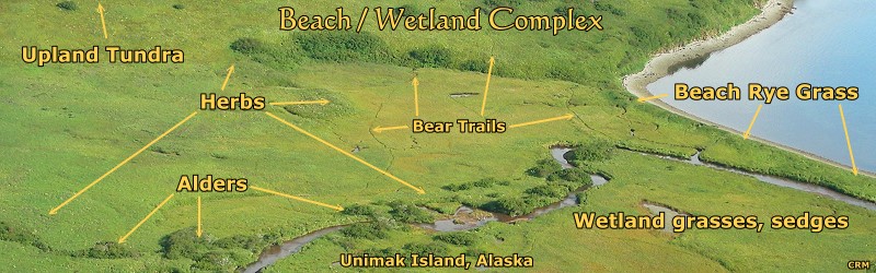 Beach Wetland Complex photo-map, Unimak Island, Alaska