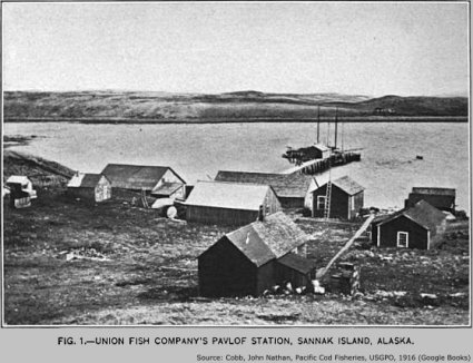 Pavlof Station, Sannak Island, Alaska, 1916