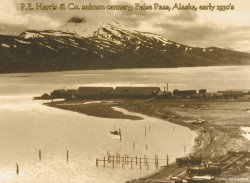 P.E. Harris salmon cannery, False Pass, Alaska, early 1930's