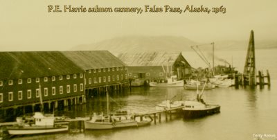 P.E. Harris Cannery, False Pass, Alaska, 1963
